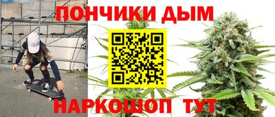 шишки Краснознаменск