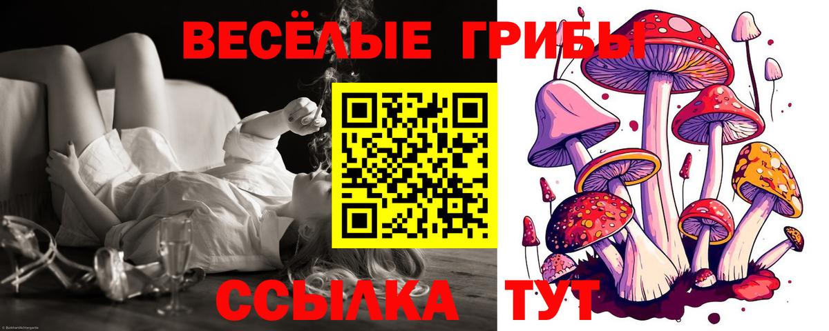 Псилоцибиновые грибы Psilocybine cubensis Южно-Сахалинск